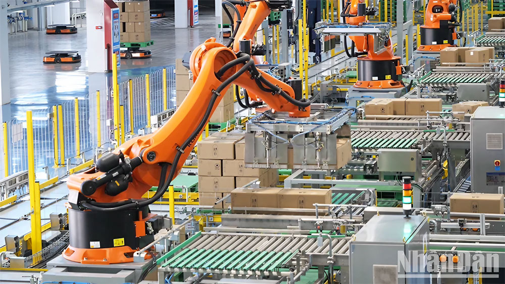 Robot palletizing và đóng gói